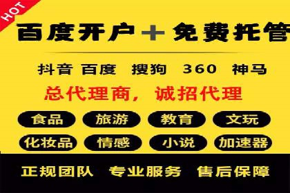 实战解析：百度竞价排名服务成功案例